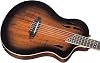 Ortega Guitars TourPlayer Deluxe RTPDLX-ACA Electro Classical Guitar (Acacia Burst)