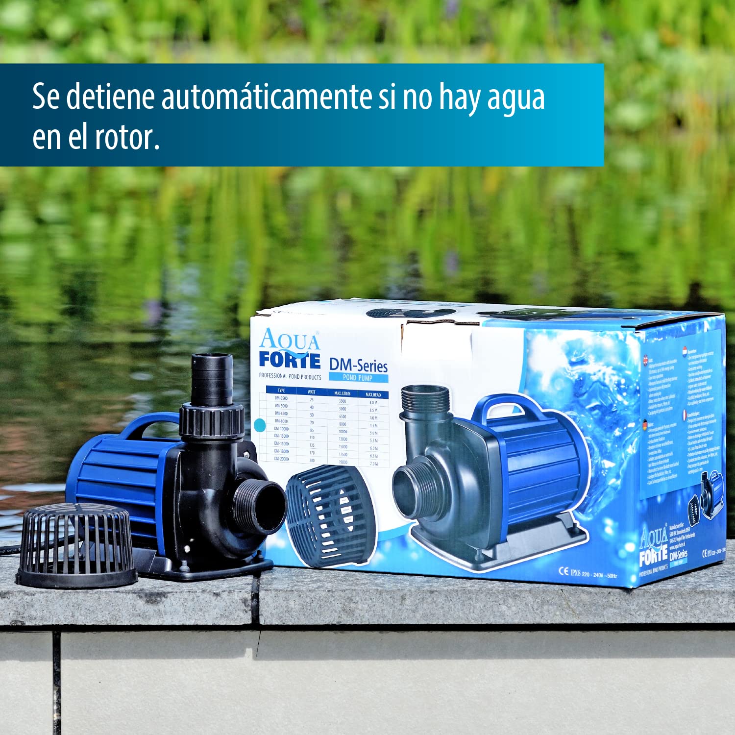 Acquaforte di stagno/Filtro Pompa DM 3500