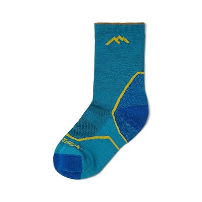 Darn Tough Vermont Light Hiker Jr. Micro Crew Lightweight with Cushion Men