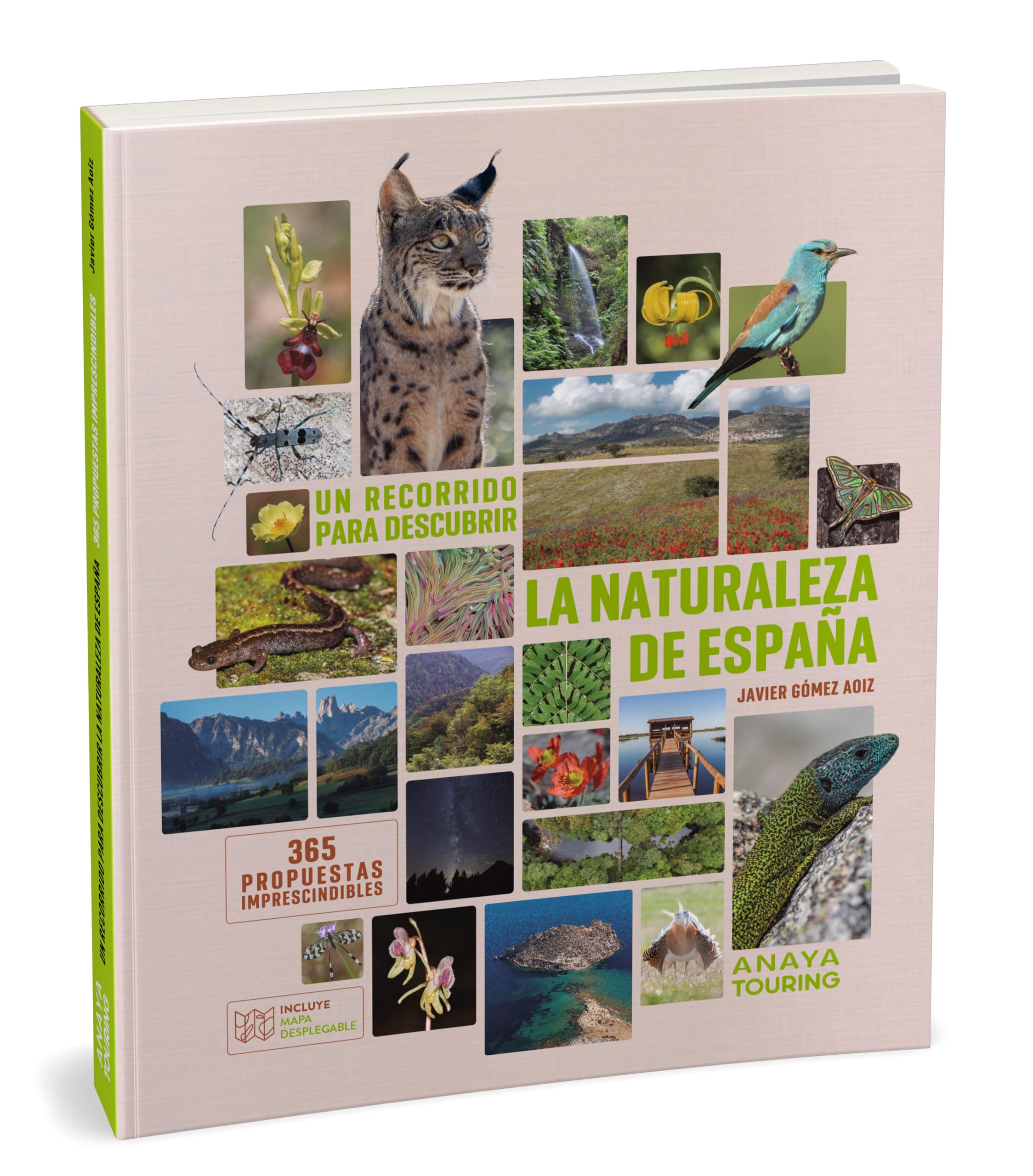Un recorrido para descubrir la Naturaleza de España.: 365 Propuestas imprescindibles (Guías Singulares)
