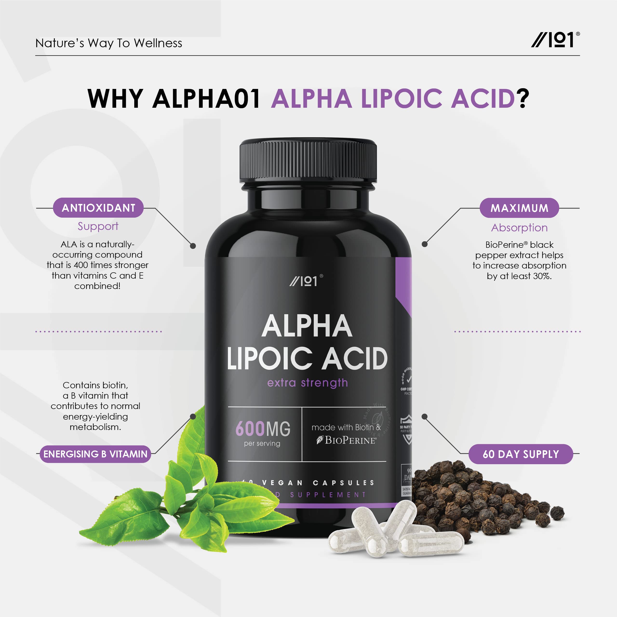 Buy Alpha Lipoic Acid (ALA) 600mg Made with Biotin & BioPerine® 60