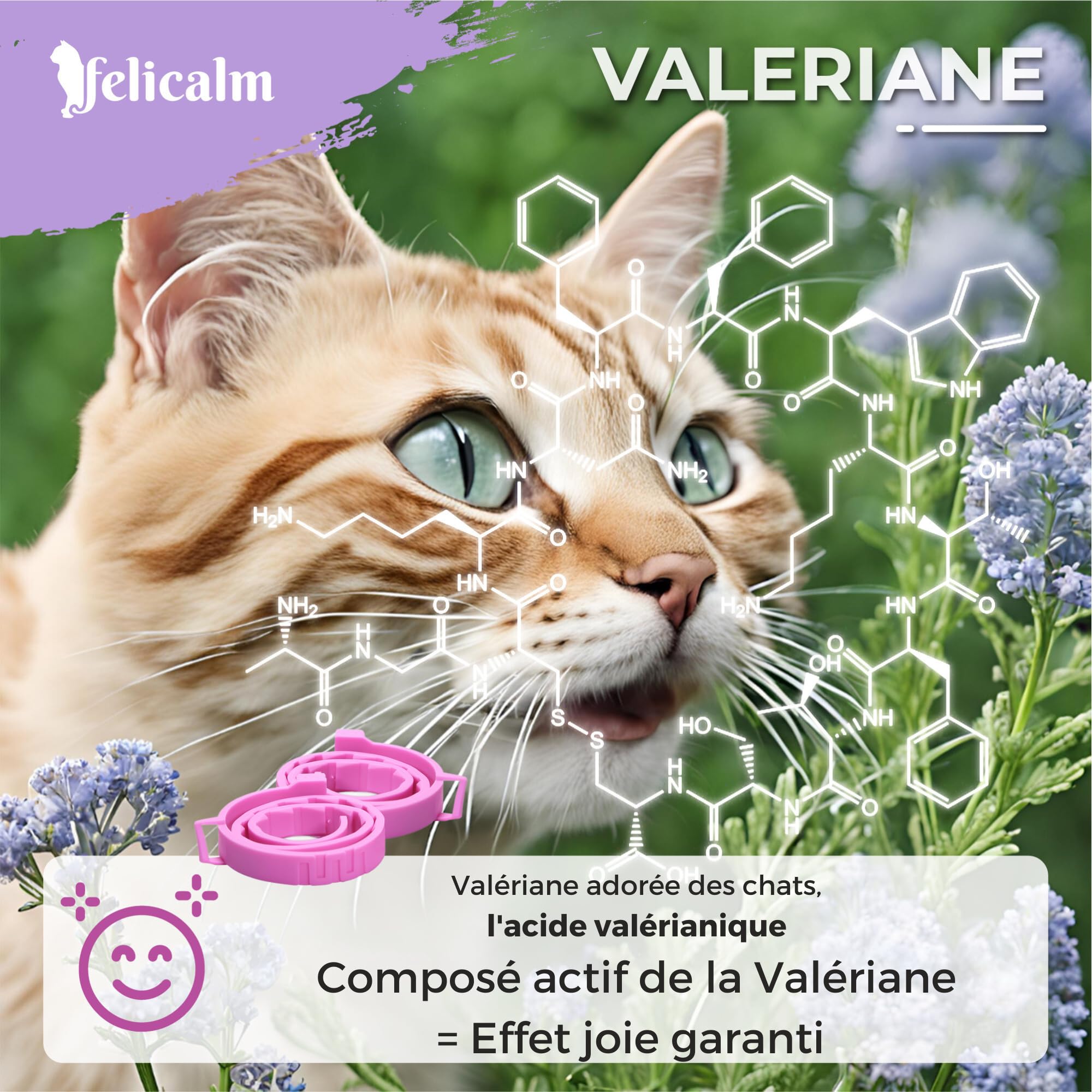 Félicalm Paris/Colliers à la VALERIANE+ PHEROMONE/Anti-Stress pour Chat et Chaton/PHEROMONE féline+ VALERIANE +Camomille+Lavande/ 2 Colliers Actifs 60 Jours