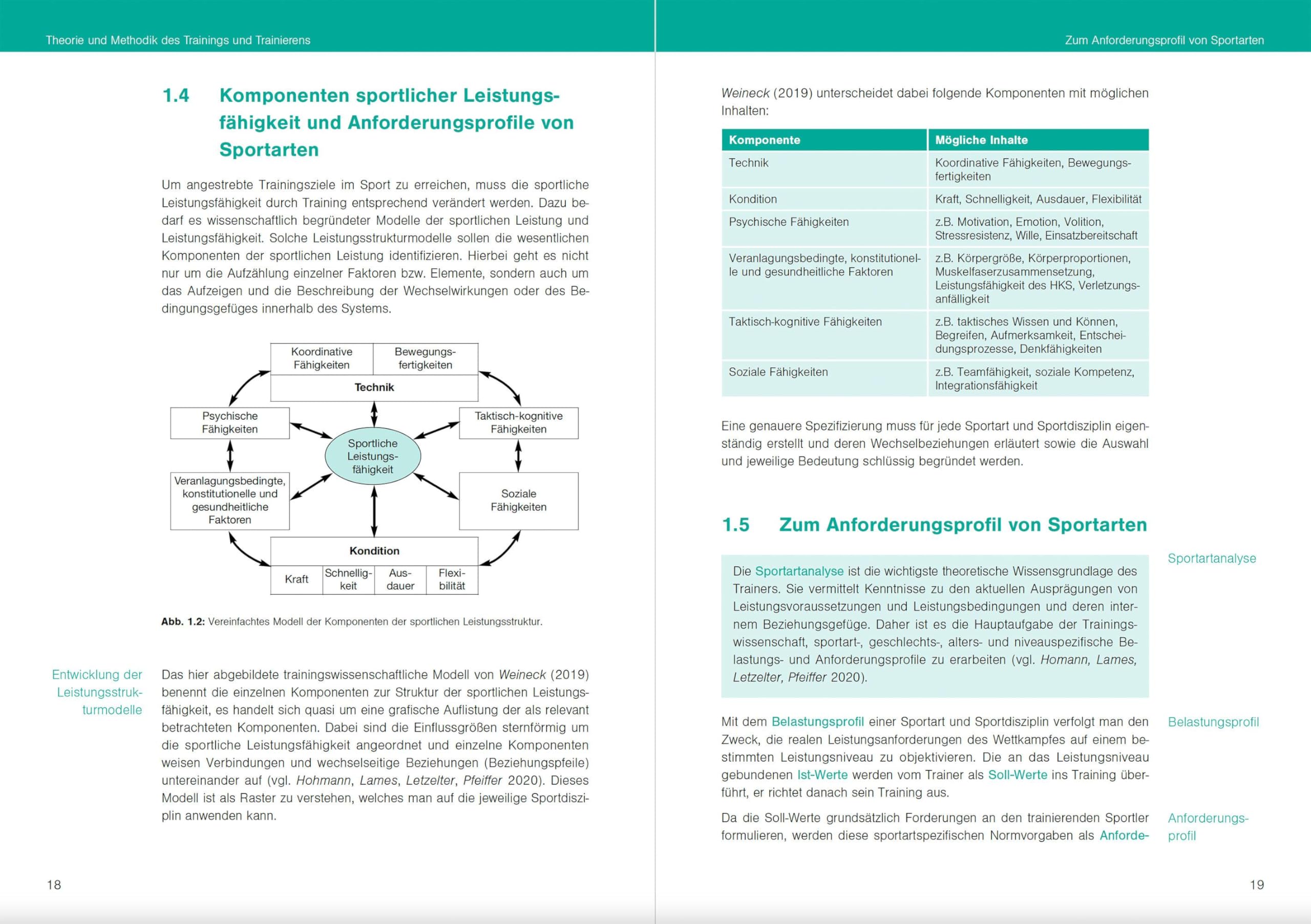 Optimales Sportwissen: Grundlagen der Sporttheorie und Sportpraxis