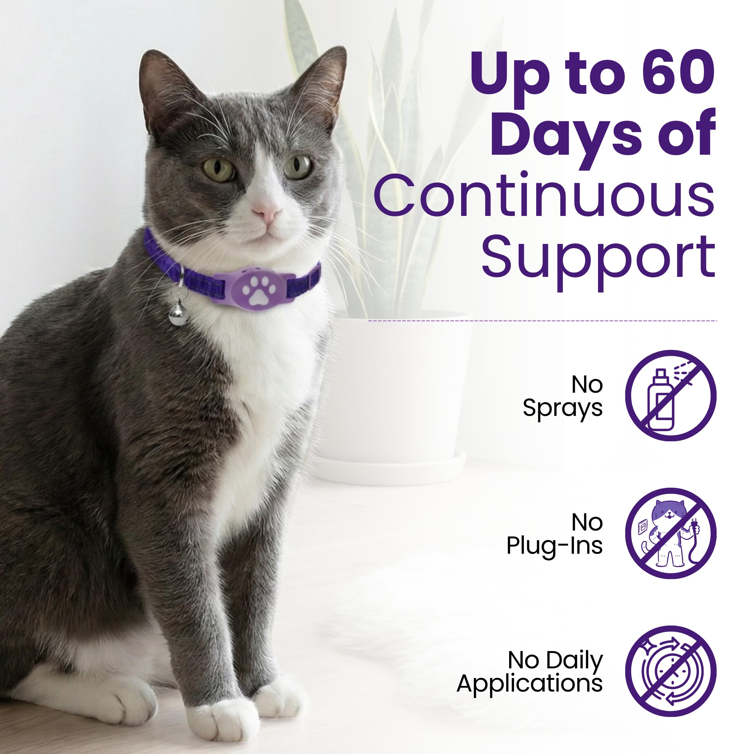 Collier apaisant pour chats sensibles - Formule sans huile essentielle non parfumée - Le système de phéromones le plus sûr et le plus confortable - Dure jusqu'à 60 jours Kitty Kompass