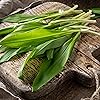 Alpi Nature Organic Wild Garlic 125g 4.4 oz, Dried and Chopped Wild Garlic Leaves for Cooking