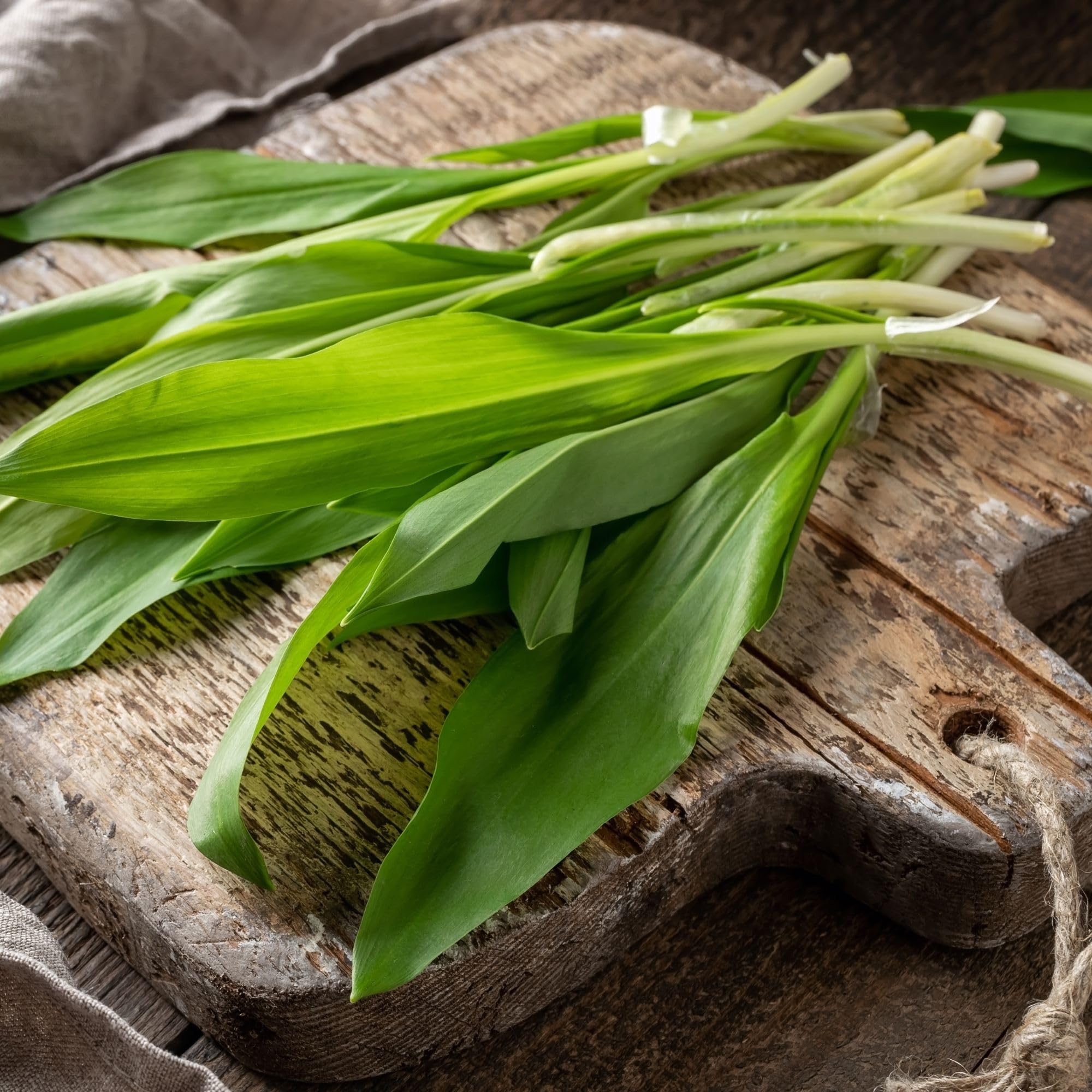 Alpi Nature Ajo Silvestre Orgánico 125g, Hojas de Ajo Silvestre Secas y Picadas para Cocinar