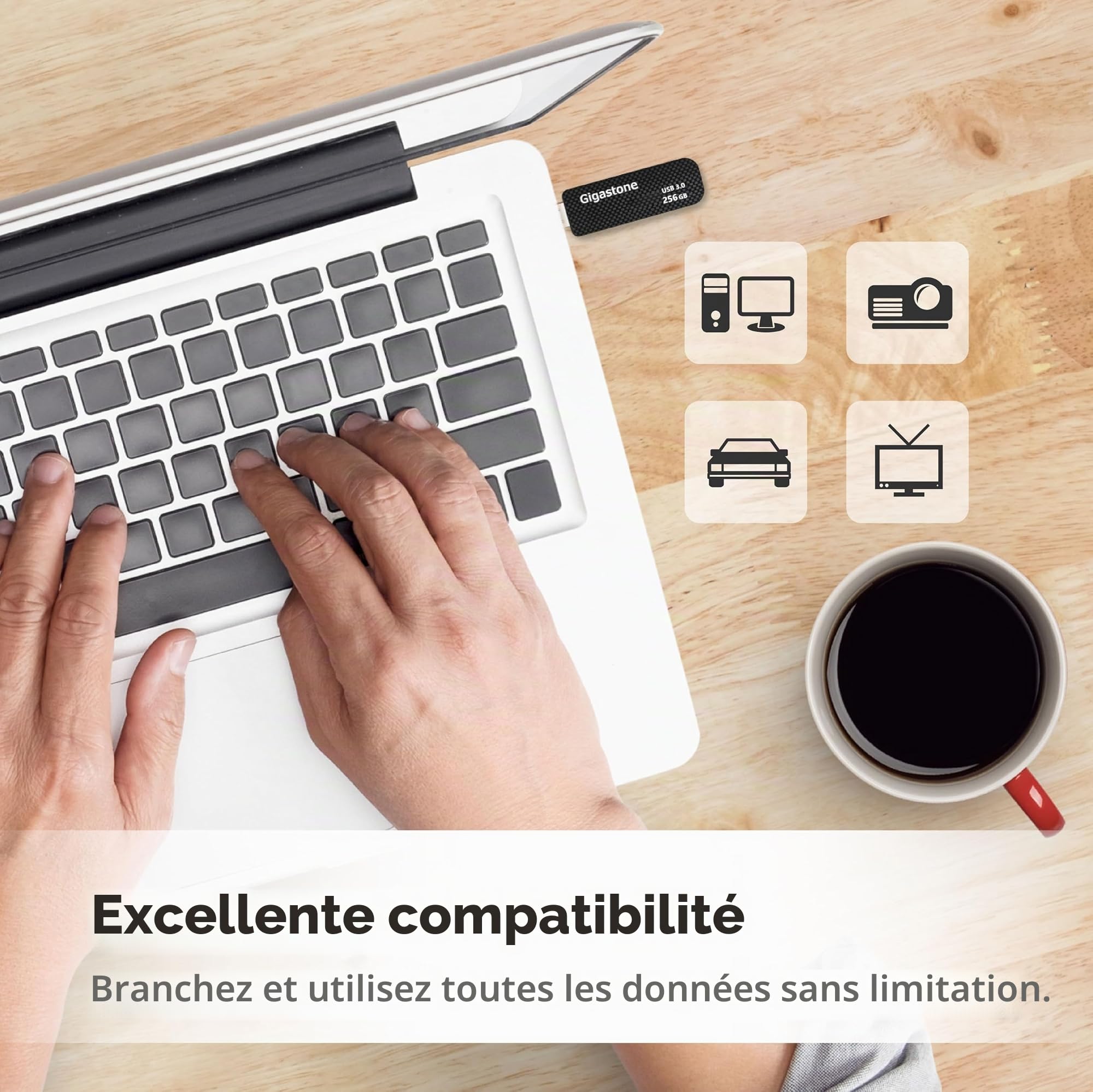 GIGASTONE 256Go Clé USB, Z30 USB 3.2 Gen 1, 100Mo/s Ultra Rapide, Boucle Porte-clés, Design Coulissant, Stockage et Sauvegarde pour PC/Mac/TV/Voiture, USB 2.0/3.0/3.1 Compatible