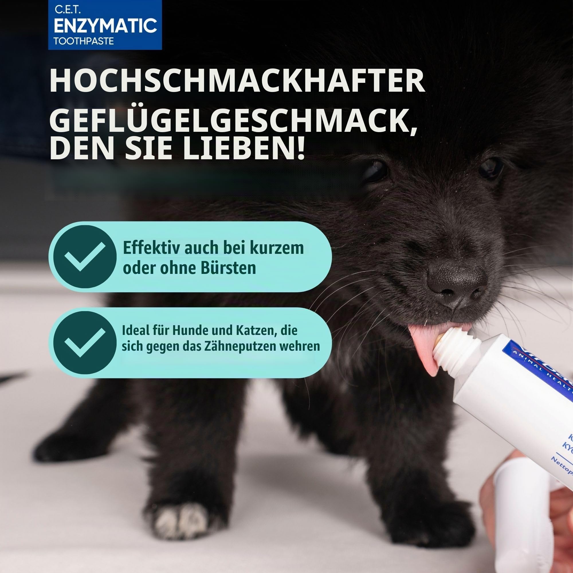 Virbac C.E.T. Mundhygiene-Set für Katzen und Hunde, 3-teiliges Set mit doppelseitiger Zahnbürste, Fingerbürste und Geflügelgeschmack, 75 ml Tube Zahnpasta, entfernt Plaque und Zahnstein