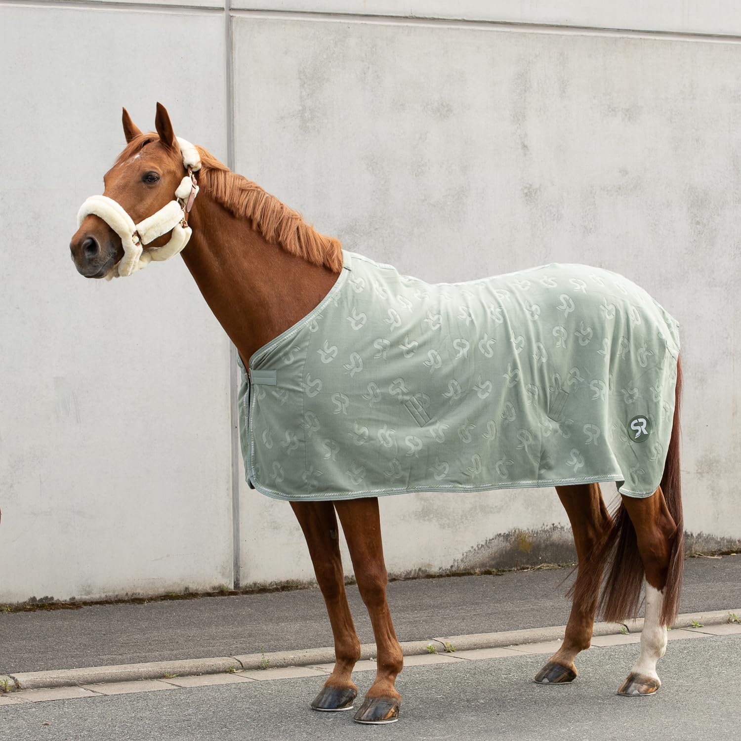 SUNRIDE Abschwitzdecke “Wellington” für Pferde aus weichem Fleece (280g/m²) - schnelltrocknend und leicht (165 cm, Olive)