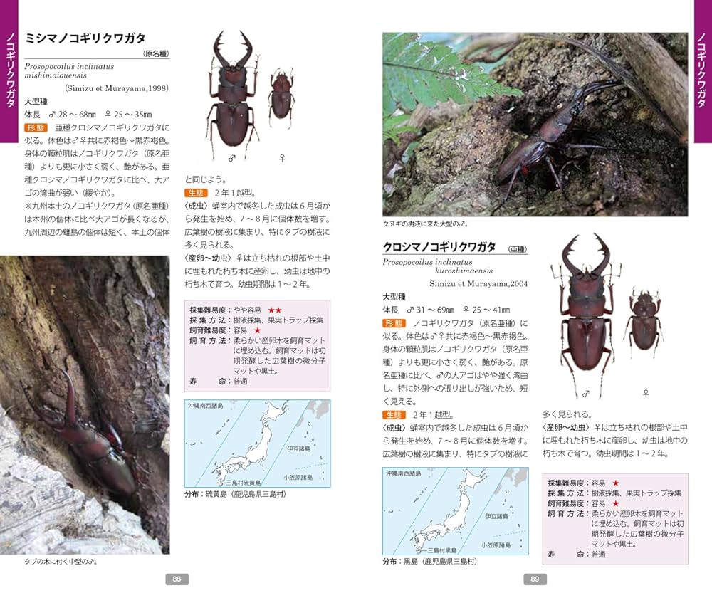 Amazon.co.jp: 日本のクワガタムシ・カブトムシ観察図鑑: 日本に