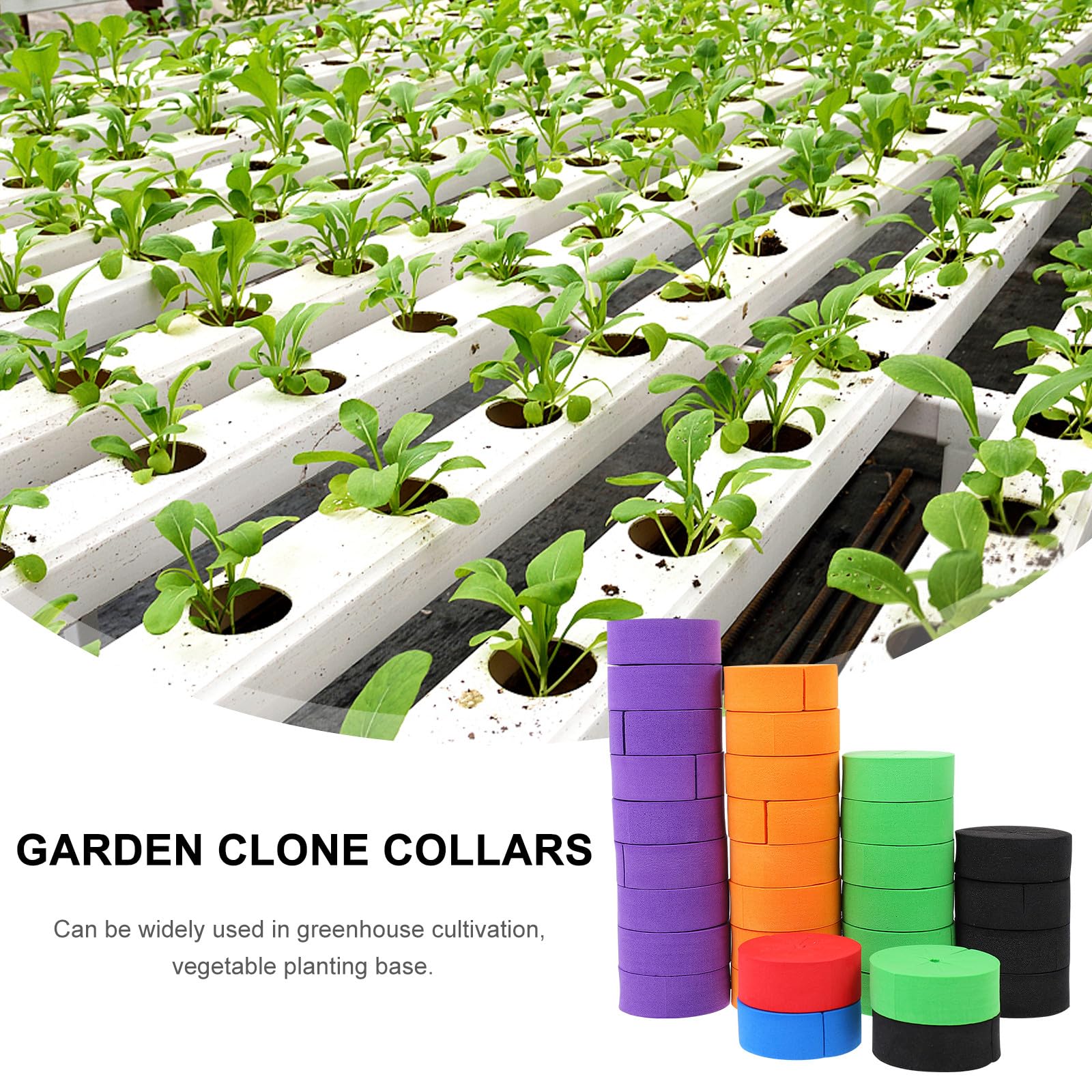 jojofuny Bloques de Esponja Eva para Cultivo Hidropónico sin Tierra, 50 Piezas, Ahorro de Espacio y Aptos para Semillas en Base de Cultivo de Hortalizas Color Aleatorio