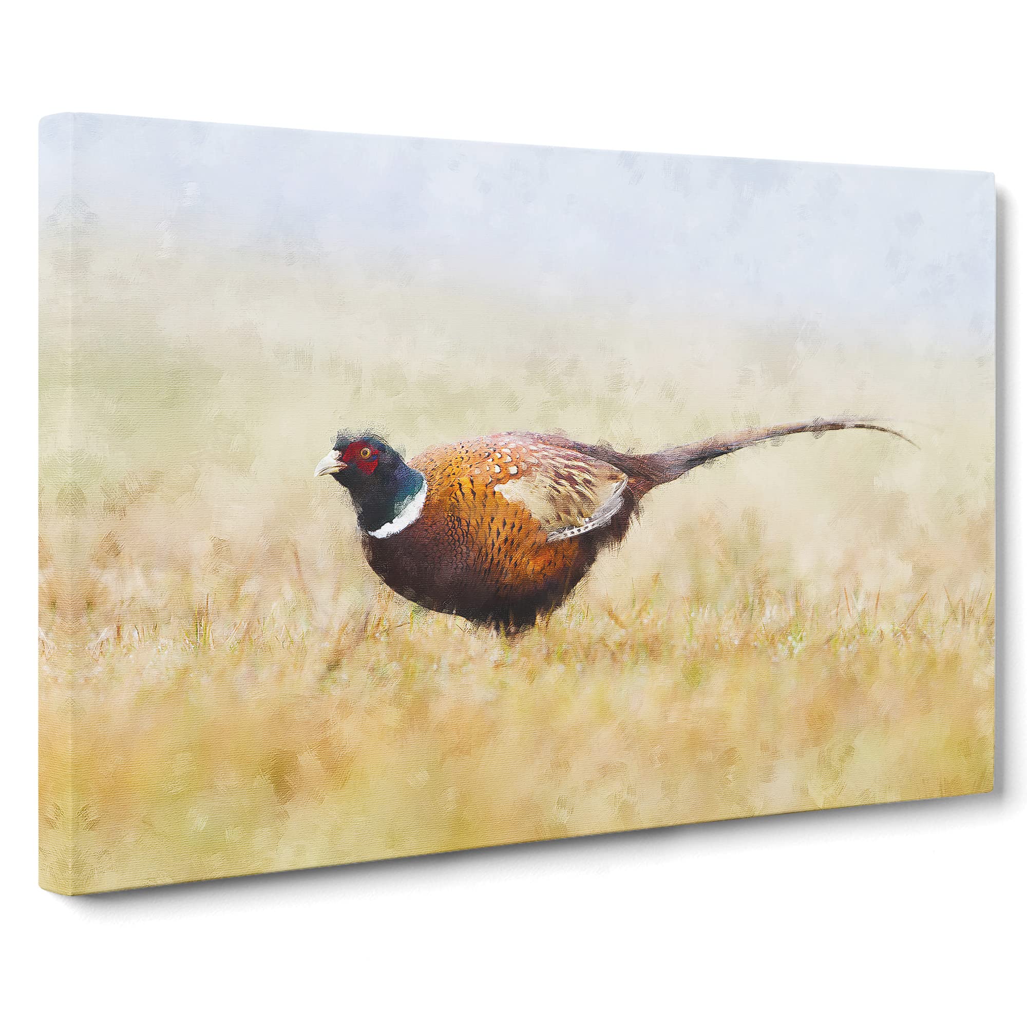 A Pheasant Bird Canvas Print, Mixed, 25L x 50W cm