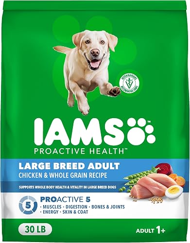 Iams Proactive Large Breed