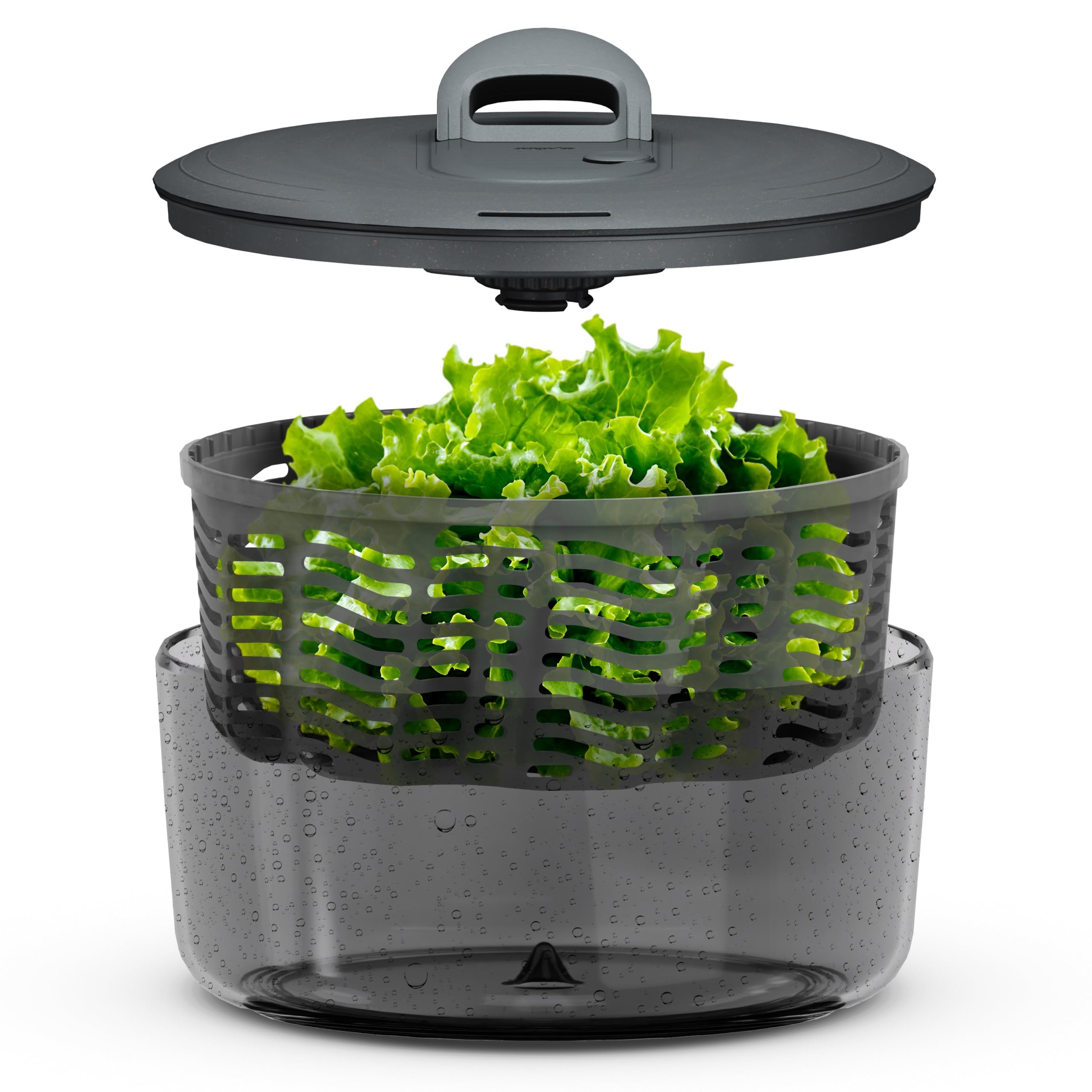 Amazon.com: Zyliss Easy Spin Salad Spinner - Fruit & Veggie Dryer