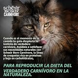 Ver la foto 6