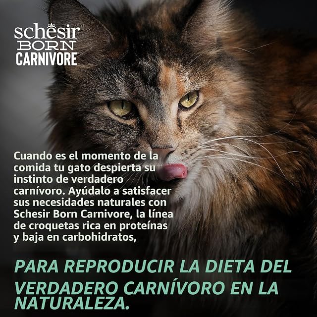 Foto 6 de 6 de Schesir Born Carnivore,Croquetas de Pollo y Huevo al Horno para Gatos Adultos (Bolsa de 1,25 kg)