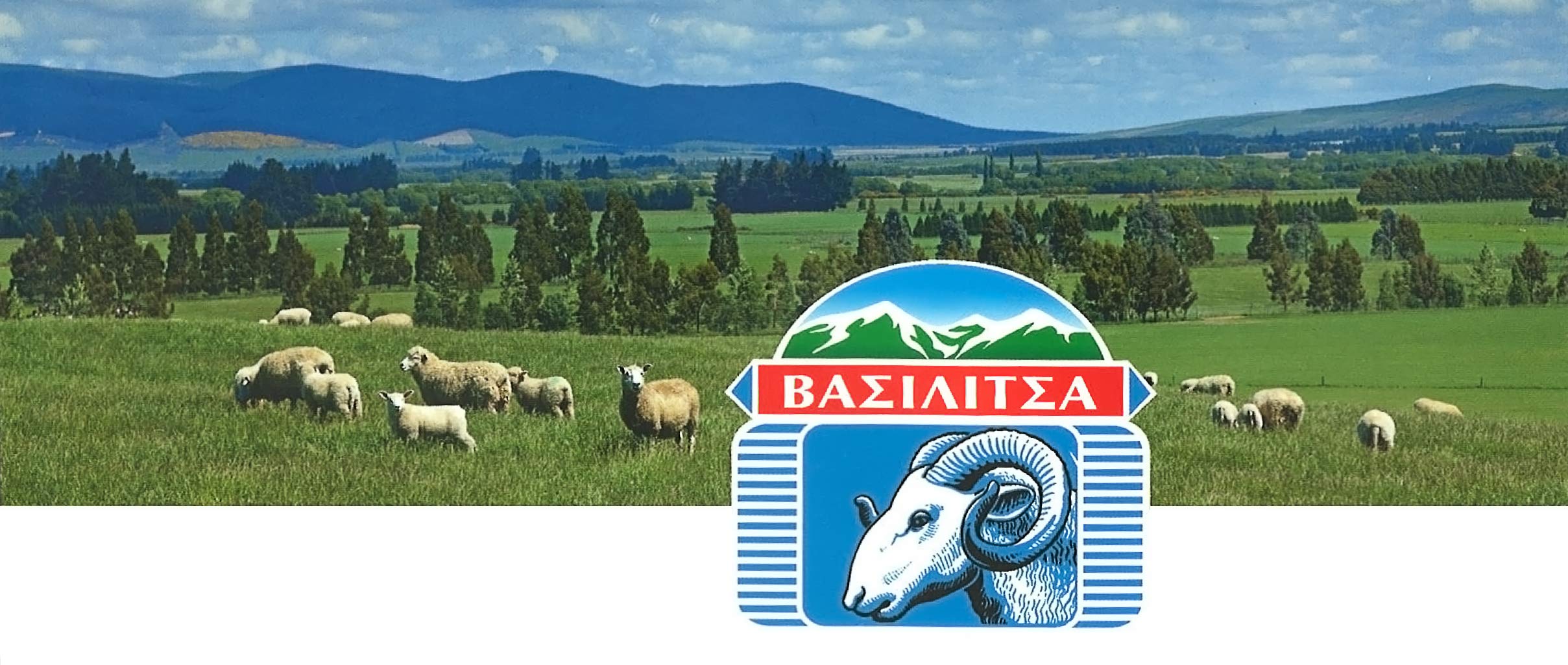 Vassilitsa BIO Feta BIO Schafkäse - 1x 1kg - BIO Fetakäse BIO griechischer Feta Schafskäse in Salzlake Sheep Cheese 43% Fett i.Tr. aus Griechenland 70% Schaf 30% Ziege Plastikbehälter Biologisch