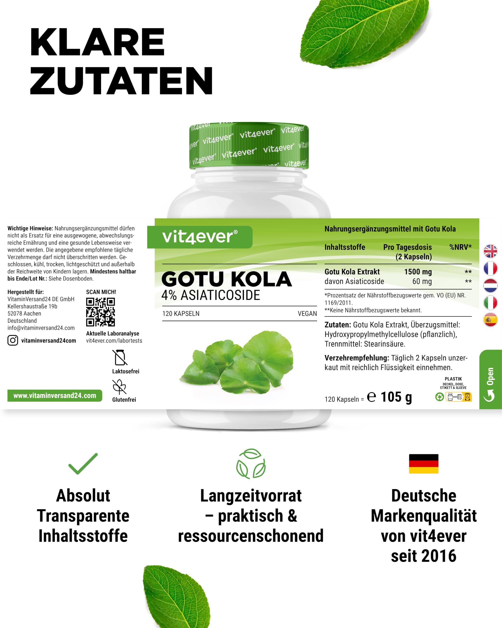 vit4ever Gotu Kola Extrakt - 120 vegane Kapseln | 1500 mg Centella asiatica Extrakt pro Tagesdosis, Standardisiert auf 4% Asiaticoside, Laborgeprüft, Hochdosiert