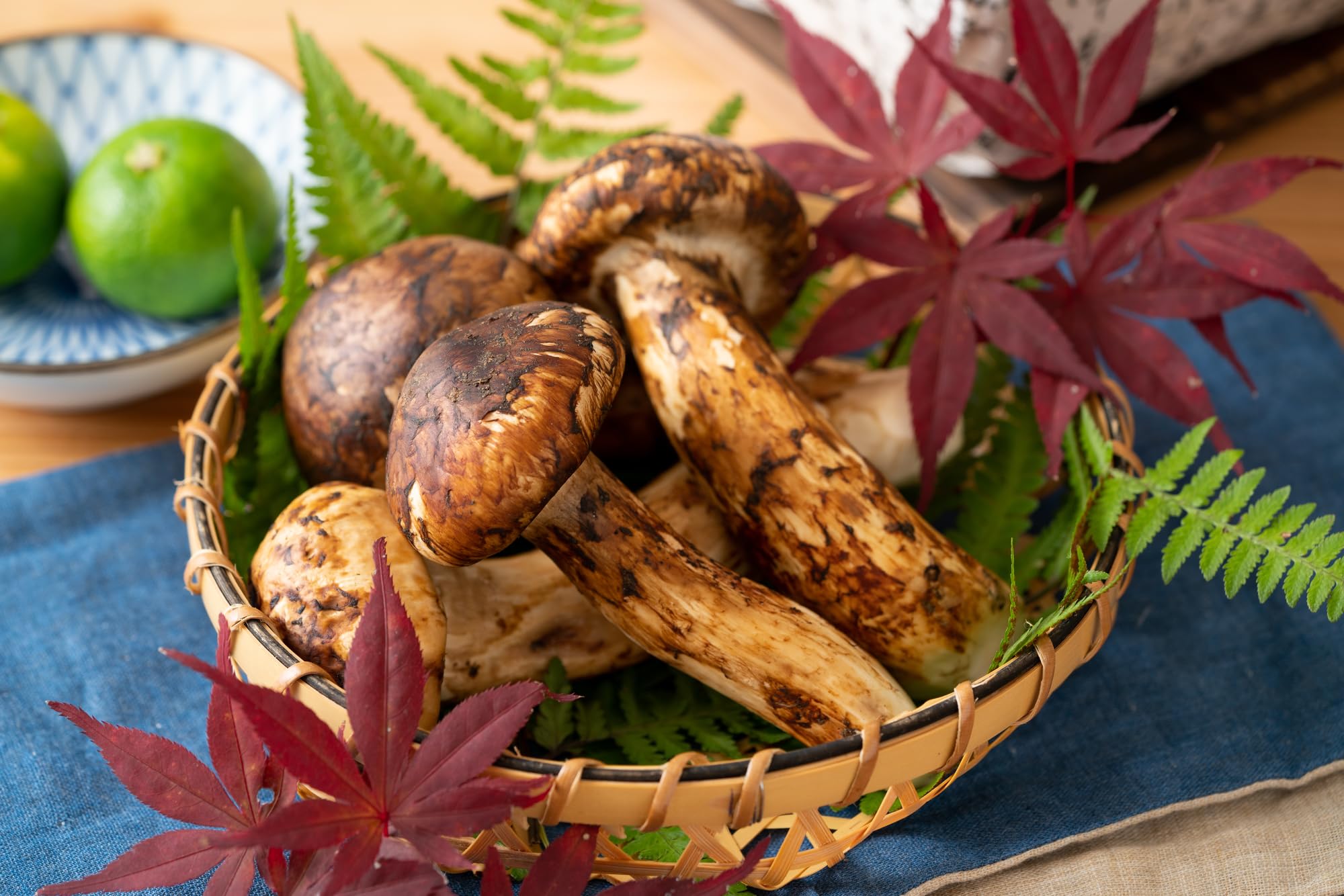 Amazon | 松茸 国産 和歌山県産 ～ 天然国産 高野松茸 約200g ～ 新鮮 