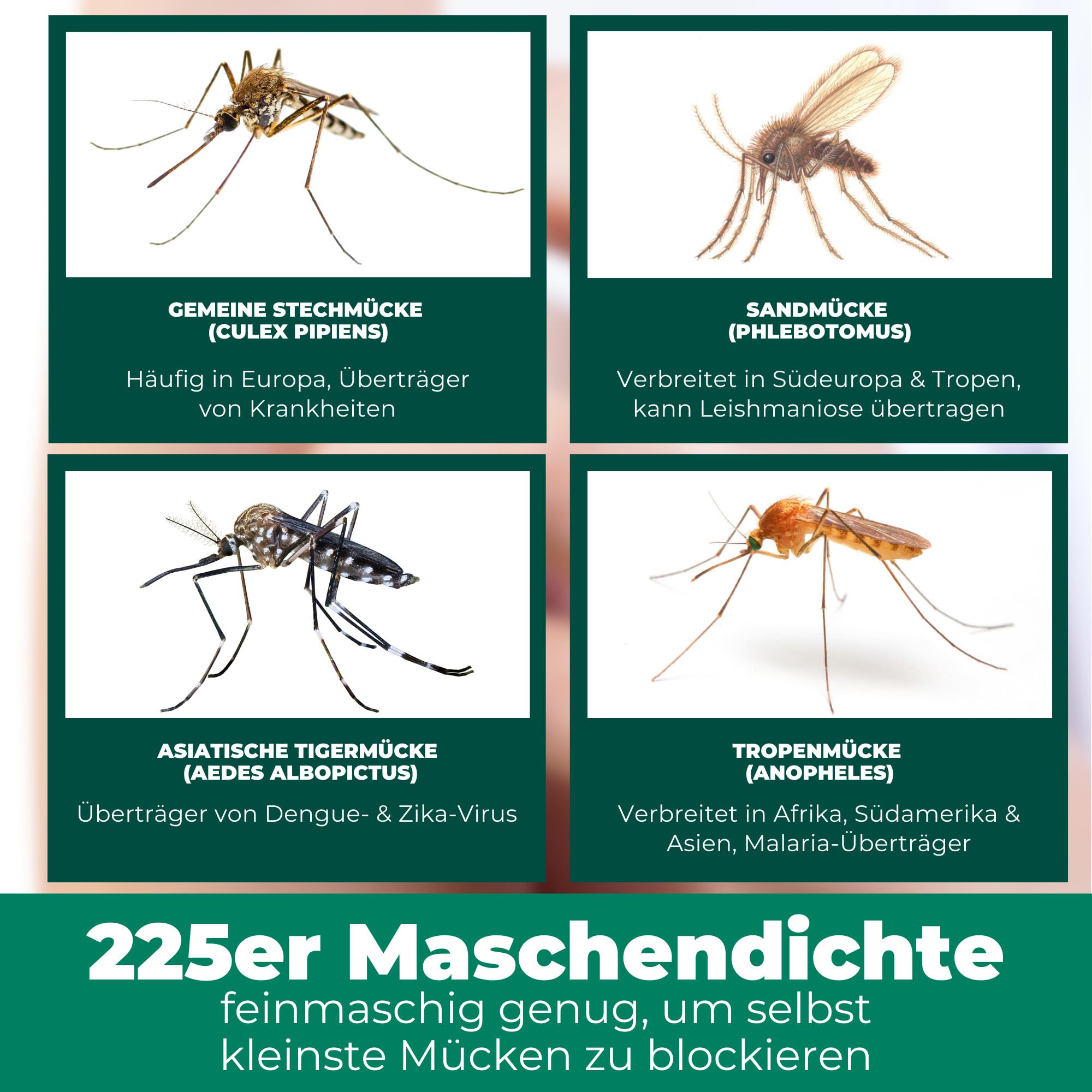 Silberkraft Moskitonetz mit Deckenhaken & Dübel, sichere Befestigung zum Bohren, reißfestes Mückennetz für Einzelbett & Doppelbett, Schutz auf Reisen & Zuhause, Ultra feinmaschig 225er WHO-Empfehlung