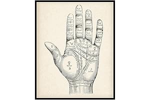 Vintage Palm Reading Chart