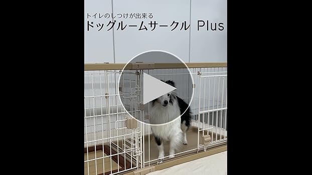 Amazon.co.jp: ペティオ (Petio) 犬用 トイレのしつけが出来る