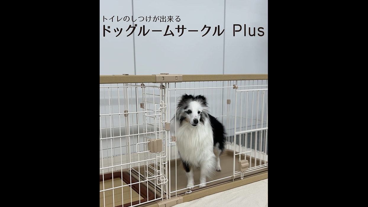 Amazon.co.jp: ペティオ (Petio) 犬用 トイレのしつけが出来る