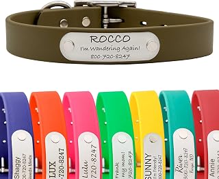 dogIDs Personalized Dog Collar – Custom Waterproof Soft-Grip Biothane with Laser-Engraved Nameplate, Durable & Odor-Resistant, USA Made | Sage, 3/4 in x 16 in (Fits Neck Sizes 14-18 in)
