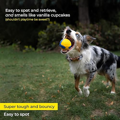 Miniatura 6 de BULLTUG Juego de anillos para masticar y bolas de búsqueda para perros medianos a grandes - Juguetes resistentes para perros masticadores eléctricos