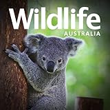 Purchase single issues and subscriptions