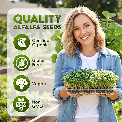 Miniatura 2 de Nature Jims Sprouts Semillas de alfalfa – Kit de cultivo de brotes orgánicos sin OMG para plantar – Bolsa resellable premium para semillas frescas
