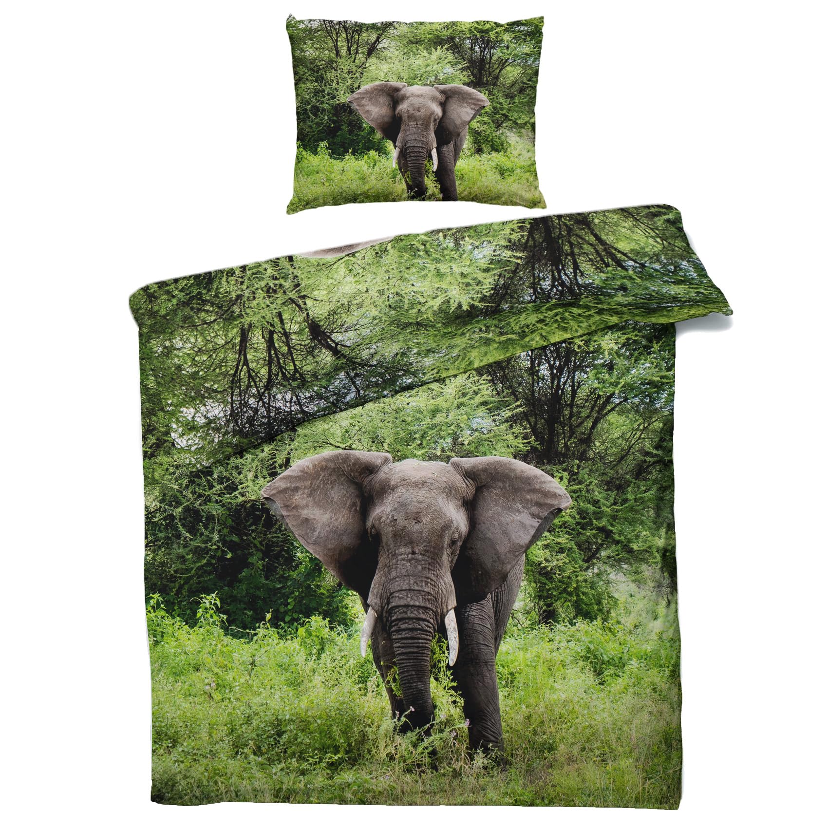 View 2