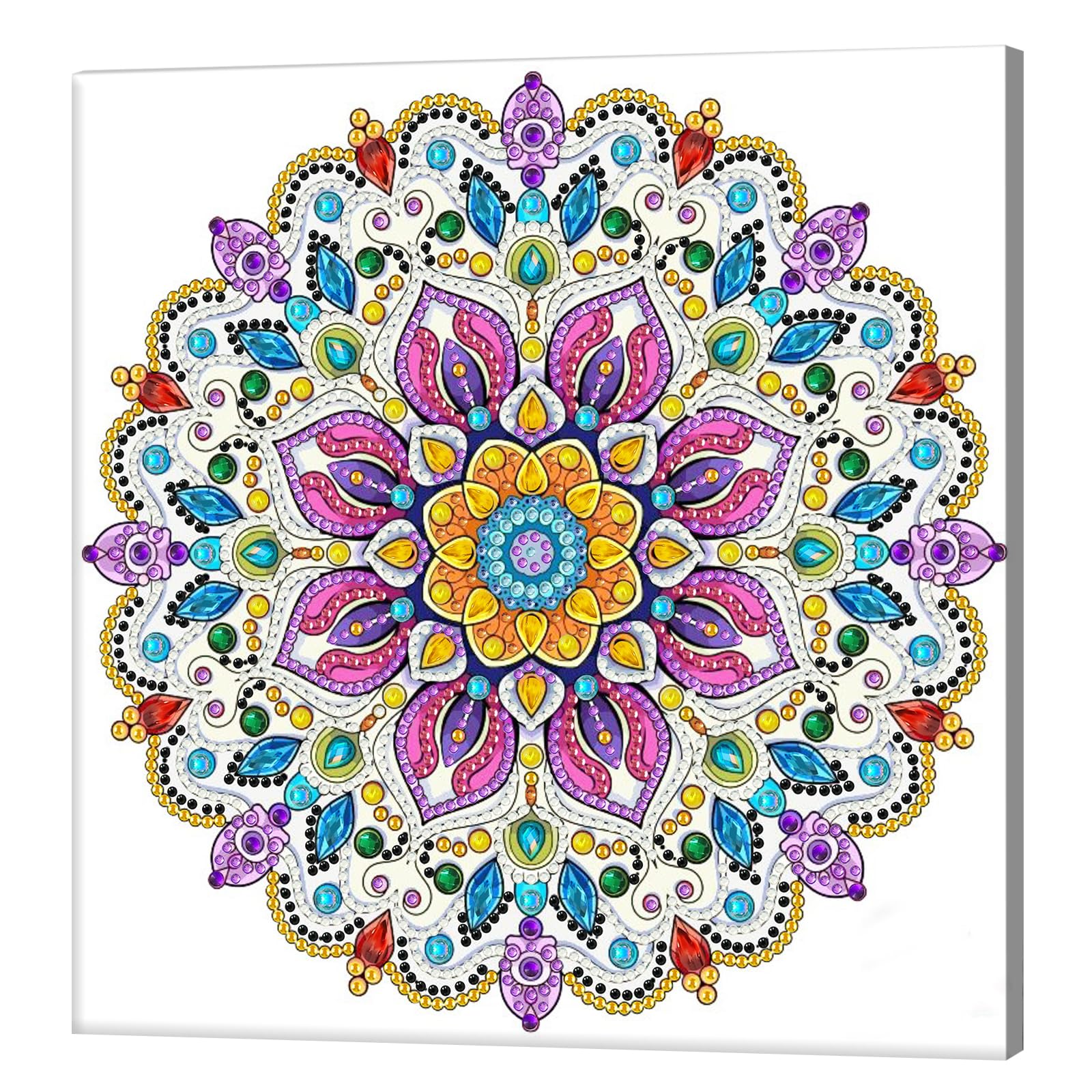 Kexpery 5D Diamond Painting Kits Partial Frame 25x25cm for Beginners Gems