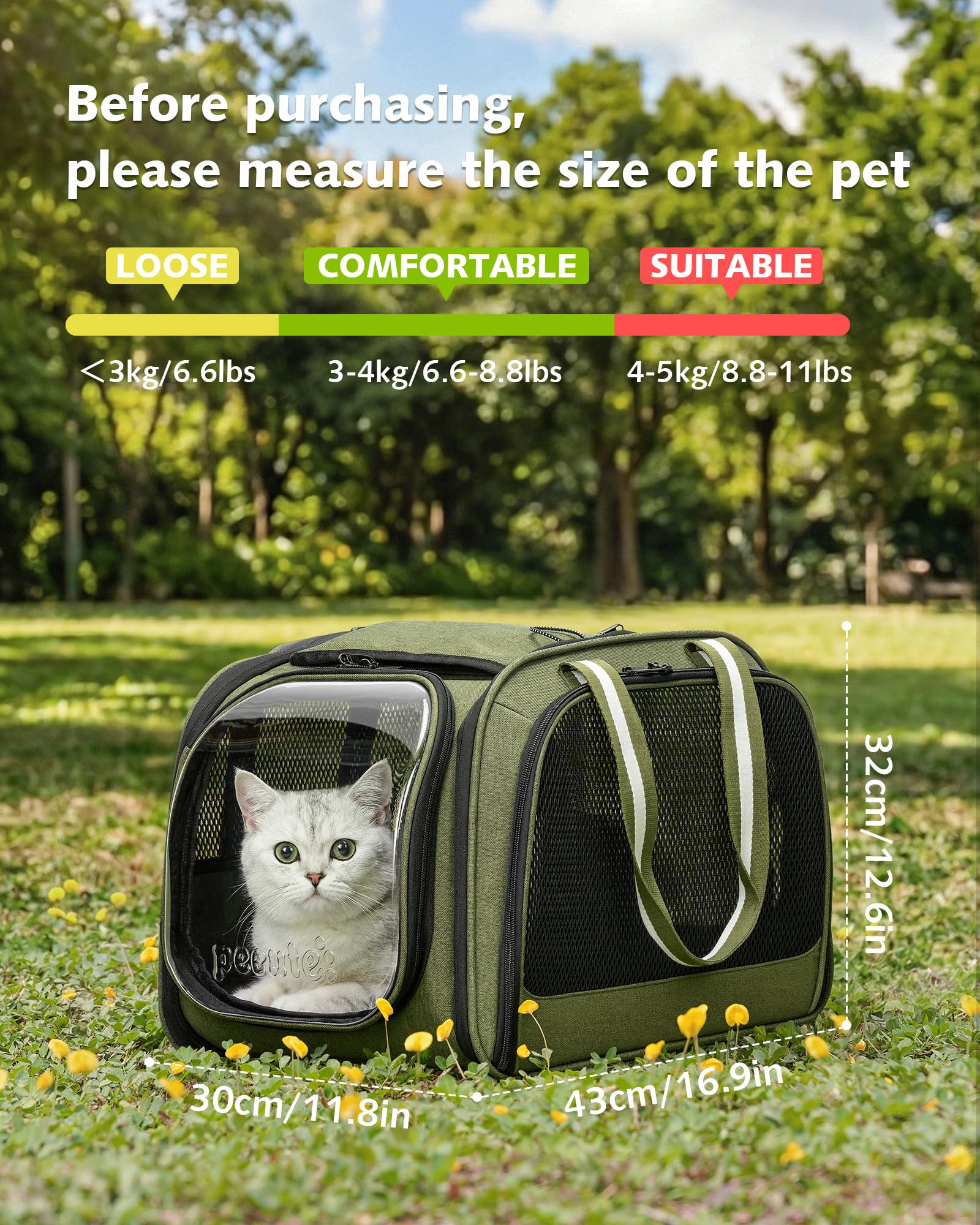 Pecute Sac Transport Chat Grande Capacité, Sac De Transport pour Chat Respirant, Stransport À Bulles pour Chats Curieux, Sac De Transport pour Chien, Vert, M