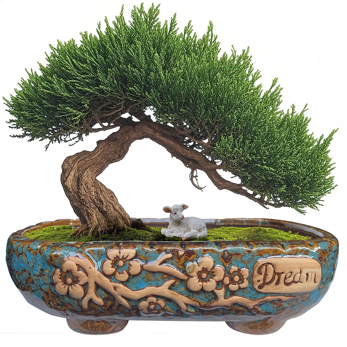 Amazon.com : MUZHI 9.5” Rectangular Ceramic Rustic Bonsai Planter