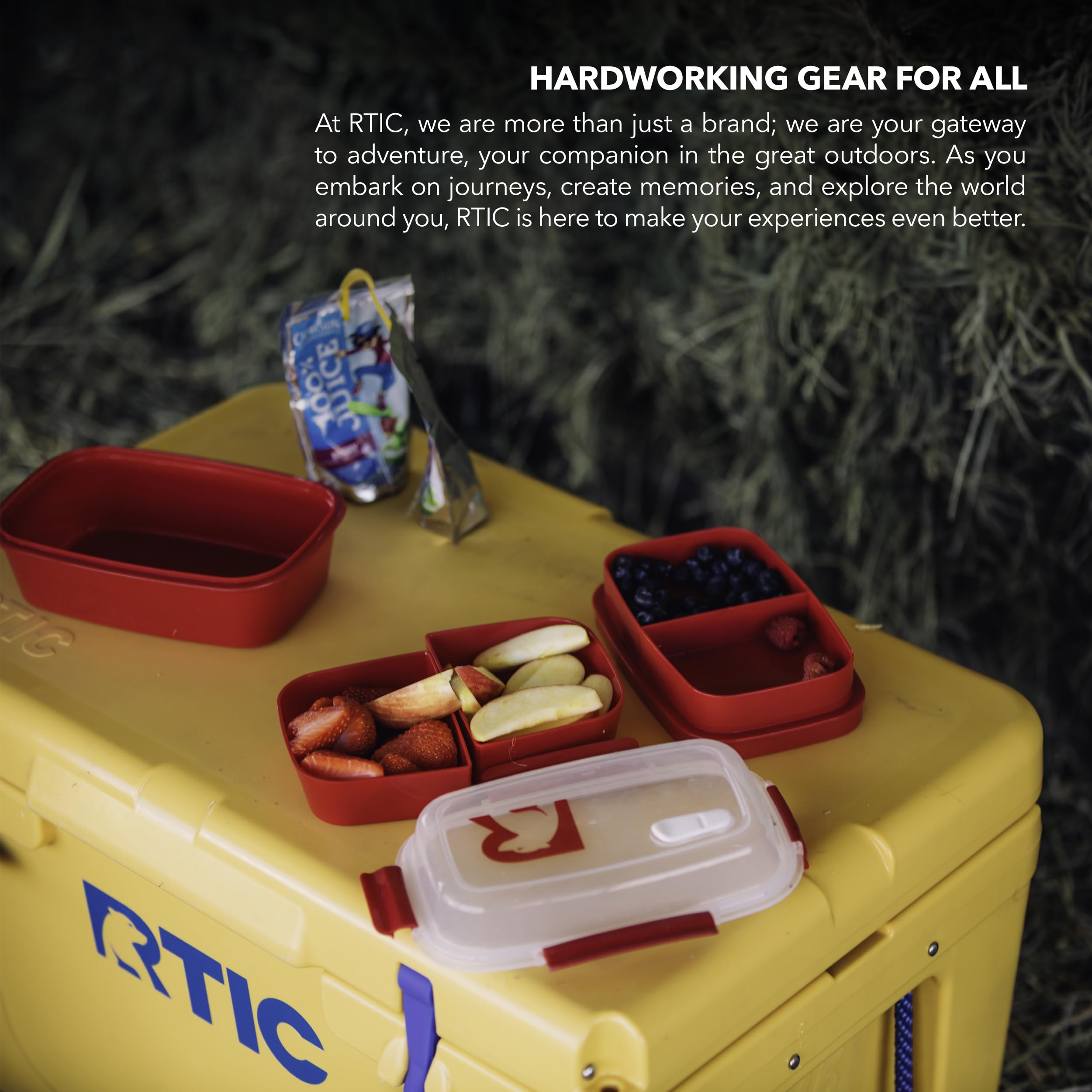 Amazon.com: RTIC 5 Compartment Lunch Containers, Hot Food 