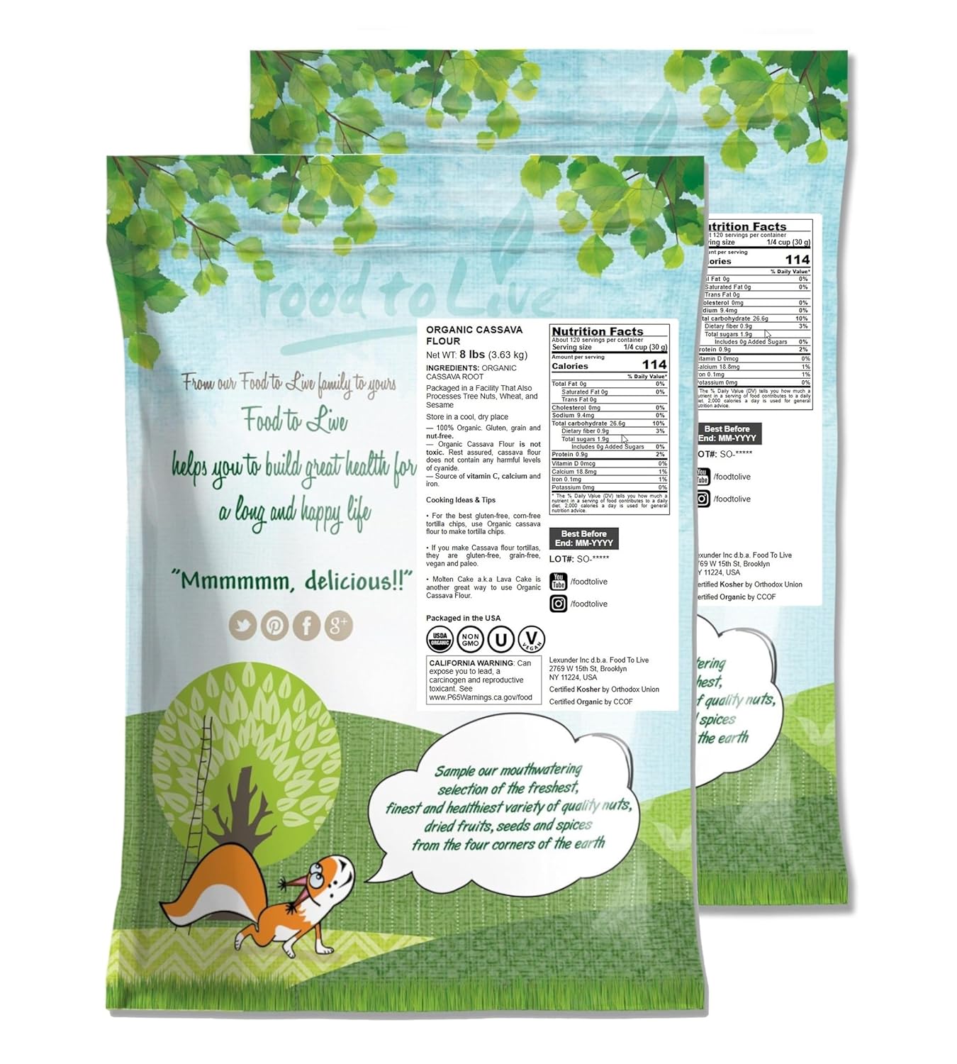 Food to Live Organic Cassava Flour, 16 Pounds — Non-GMO, Raw Yuca Root Powder, 100% Pure, Kosher, Vegan Superfood, Paleo, Bulk, Wheat Flour Substitute