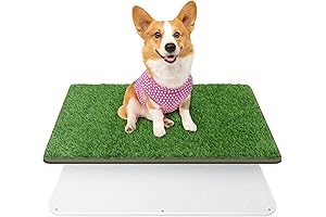 Dog Training Grass Mat with Tray Washable