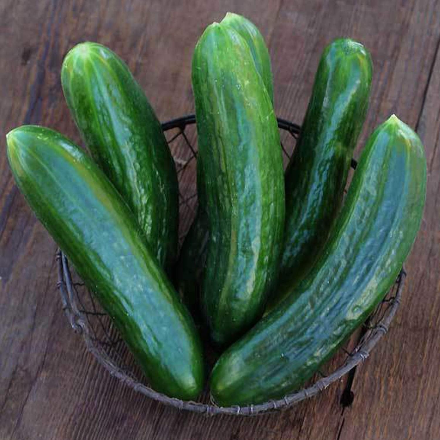 Organic Muncher Burpless Cucumber Seeds 1 g 30 Seeds