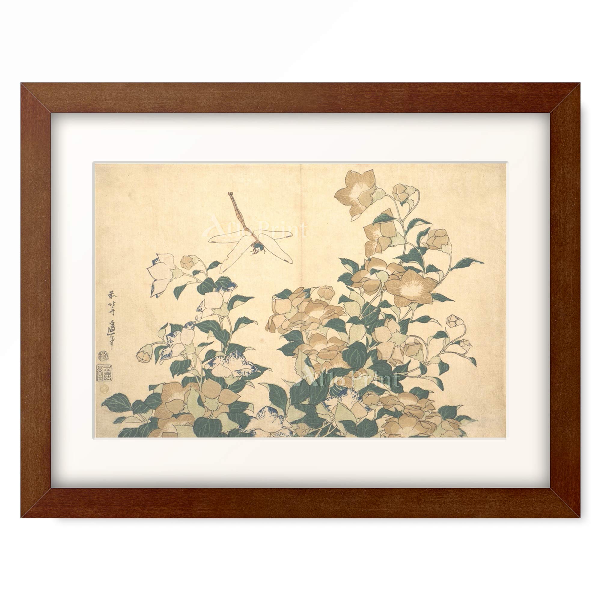 Amazon.co.jp: 葛飾北斎 Katsushika Hokusai 「桔梗に蜻蛉」 額装