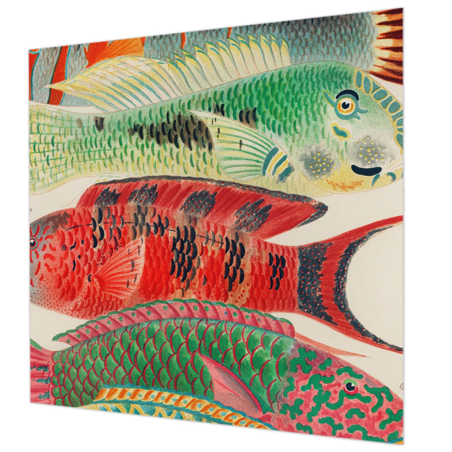 Papier peint haut de gamme poissons exotiques impression HD marque Tulup