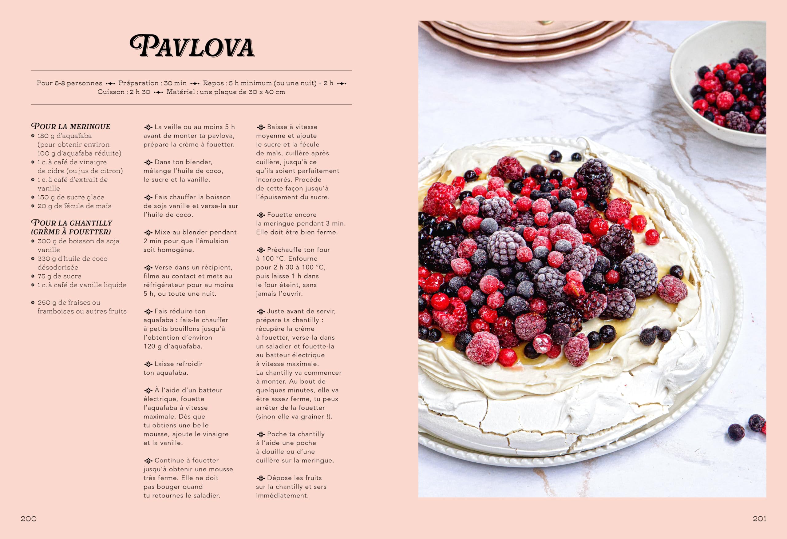 Le Grand Livre des Gâteaux de Famille: Recettes sans oeufs ni produits laitiers