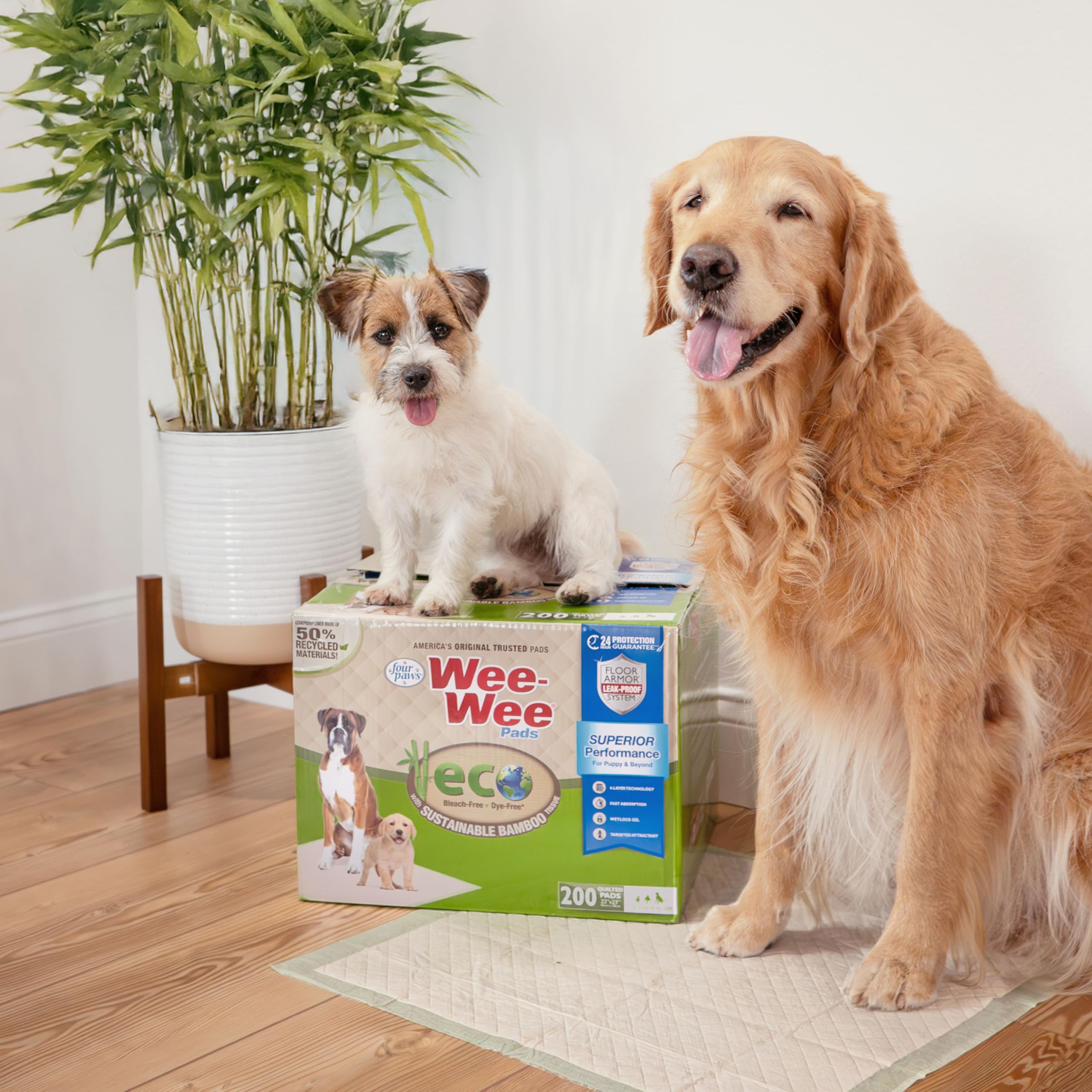 Four Paws Wee-Wee - Almohadillas de bambú para orina de Rendimiento Superior para Perros, Almohadillas de Entrenamiento para Perros y Cachorros, Forros para jaulas, Suministros de hogar, 22 x 23