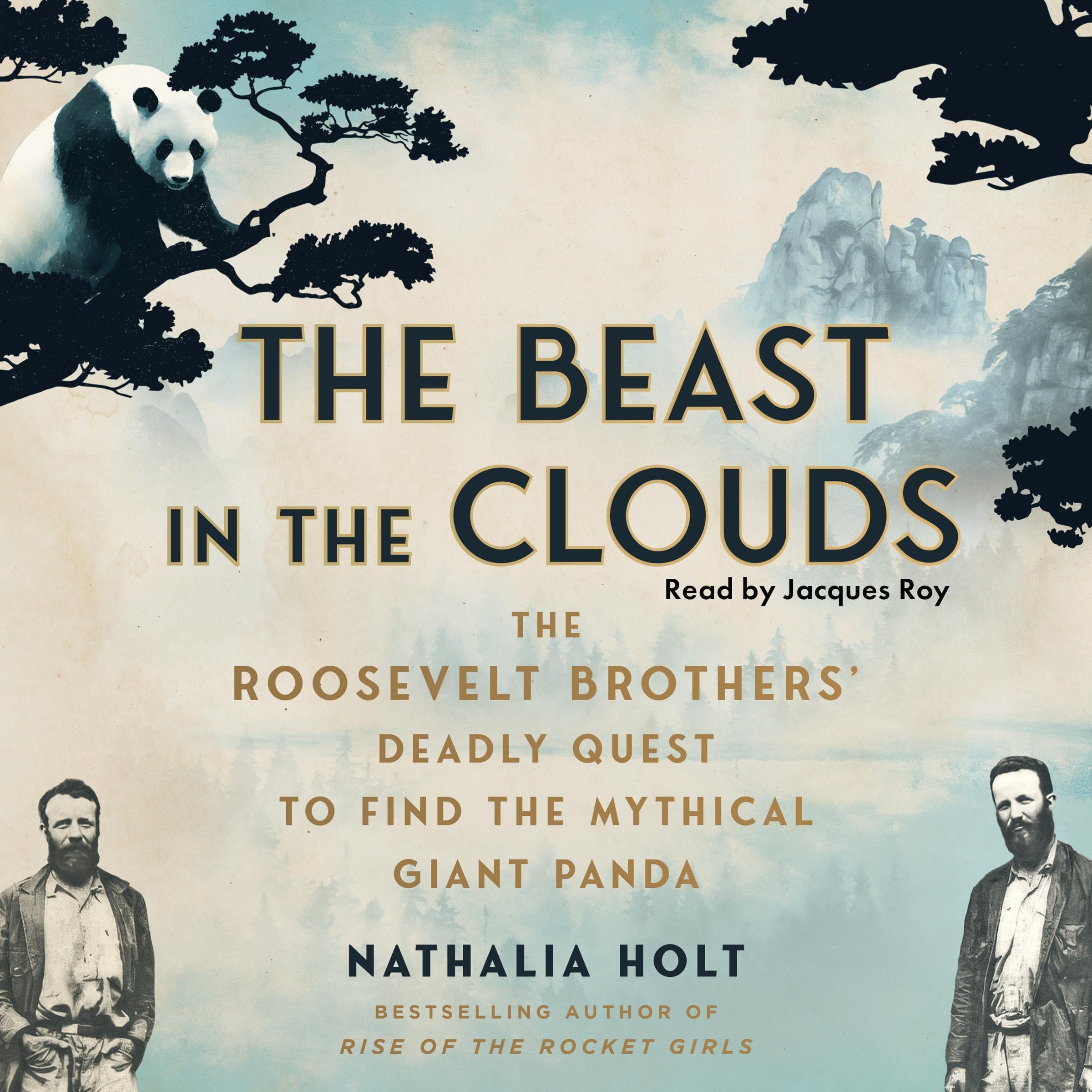 Cover art for The Beast in the Clouds