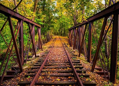 Miniatura 2 de Noah - Rompecabezas de vías de ferrocarril cubiertas de hojas de otoño, cerca de Stewartstown, Pensilvania, 1000 piezas