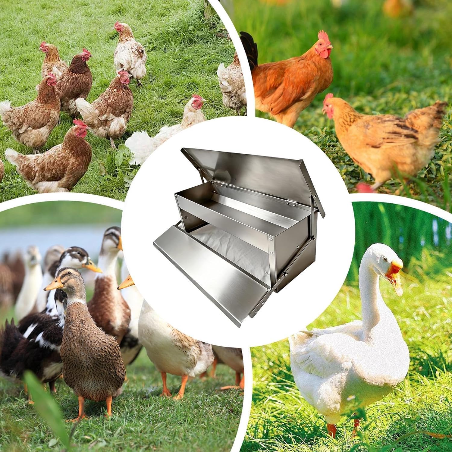 Automatic Chicken Feeder - Poultry Food Dispenser with Lid - Automatic Treadle Feeder - for Garden Farm Coop Outdoor Habitat Enclosure Backyard