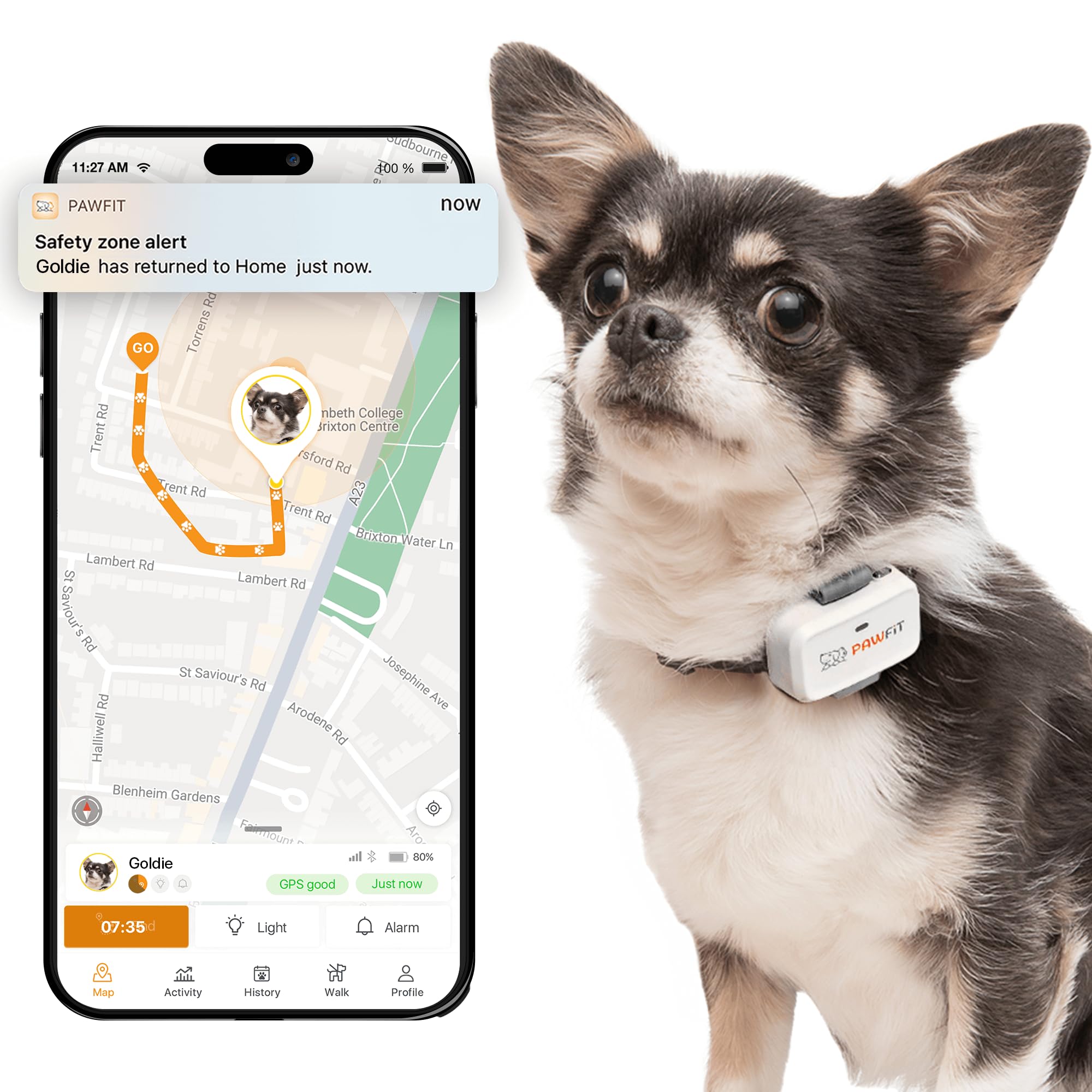 Pawfit Lite for Small Dogs 4g GPS Tracker | Real Time Tracking | Activity Monitoring |Location History | Unlimited Range | Simply White