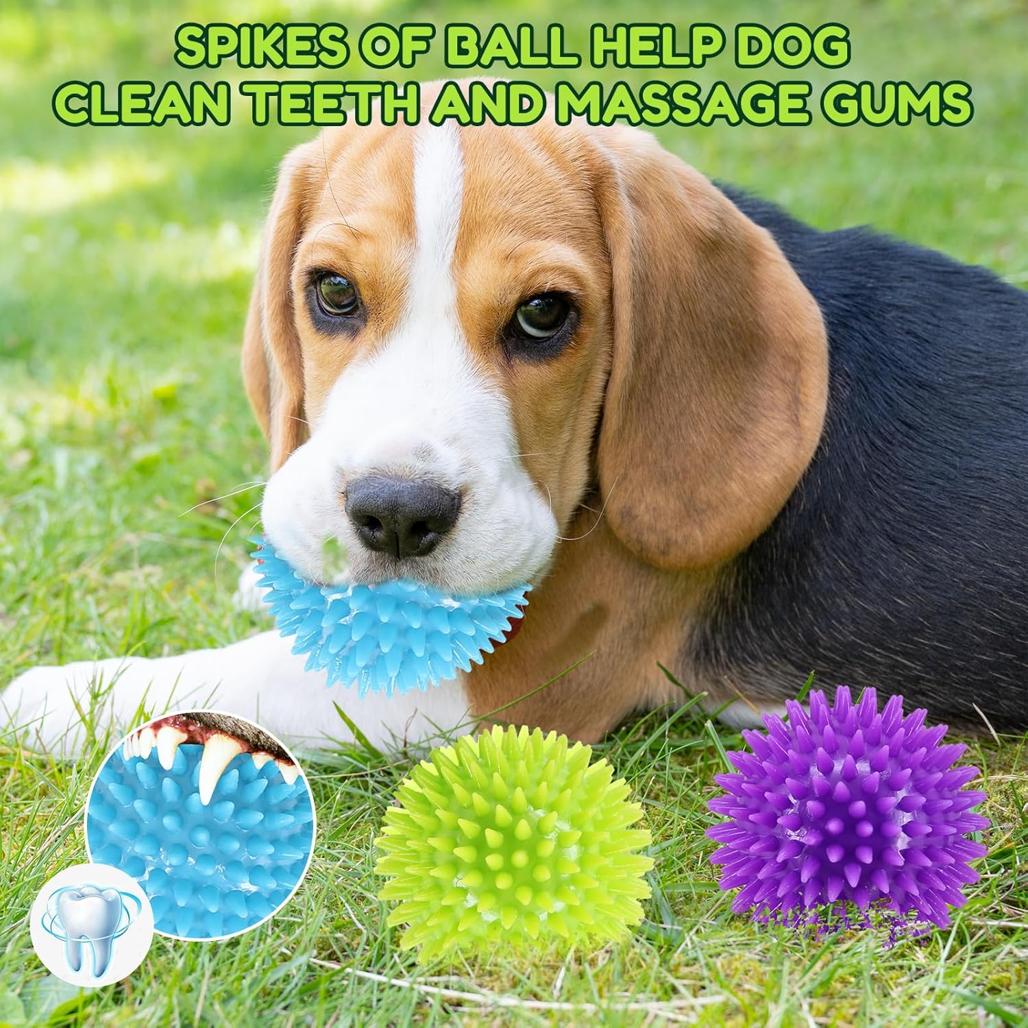 Unleash Playtime: Review of 2.5" Squeaky Dog Balls for Happy Pups!