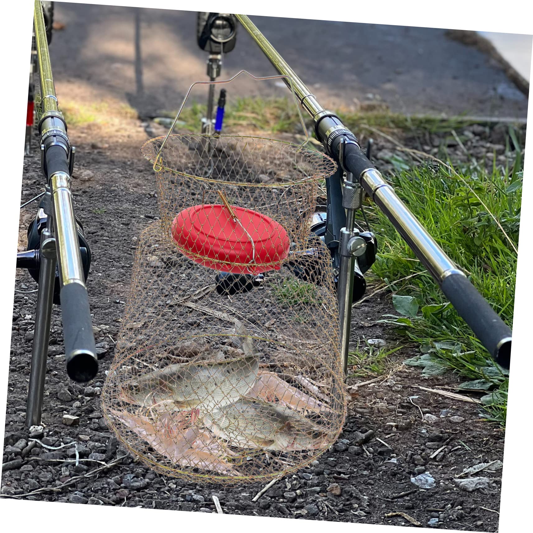 HANABASS Cesto Di Pesce Rete Da Pesca Rete Galleggiante Da Pesca Tubo Rete Da Pesca Esche Da Pesca Cattura Del Pesce Netto Cestino Da Pesca Per I Pesci Rete Da Pesca Gamberetti D'Acqua