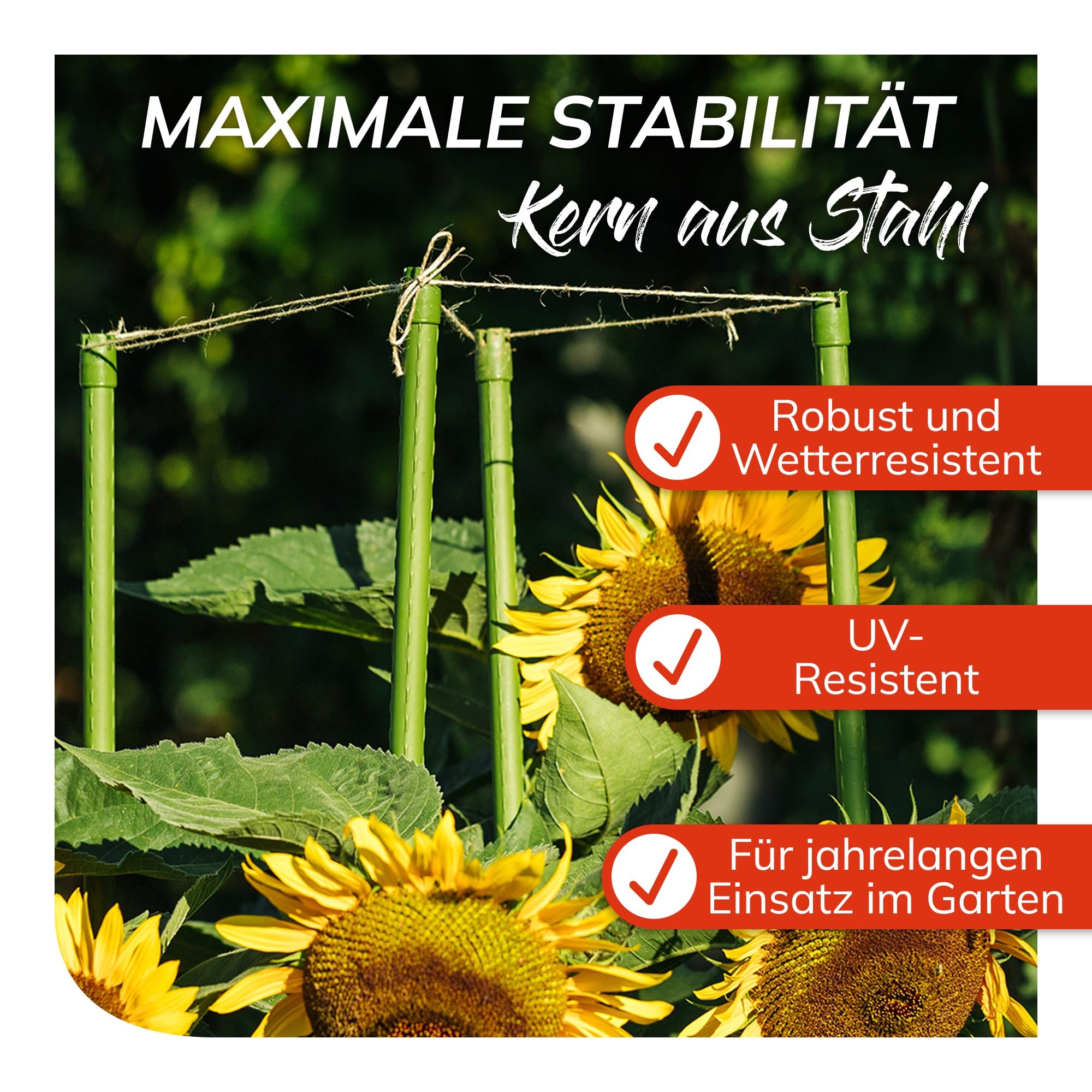 bellissa Rankhilfe Rankstäbe Pflanzenstütze 50er-Set Kunststoff grün 180 cm | Hochwertige Pflanzstäbe mit Stahlkern Ø 16 mm aus Plastik, widerstandsfähig für Rankpflanzen, Garten & Balkon